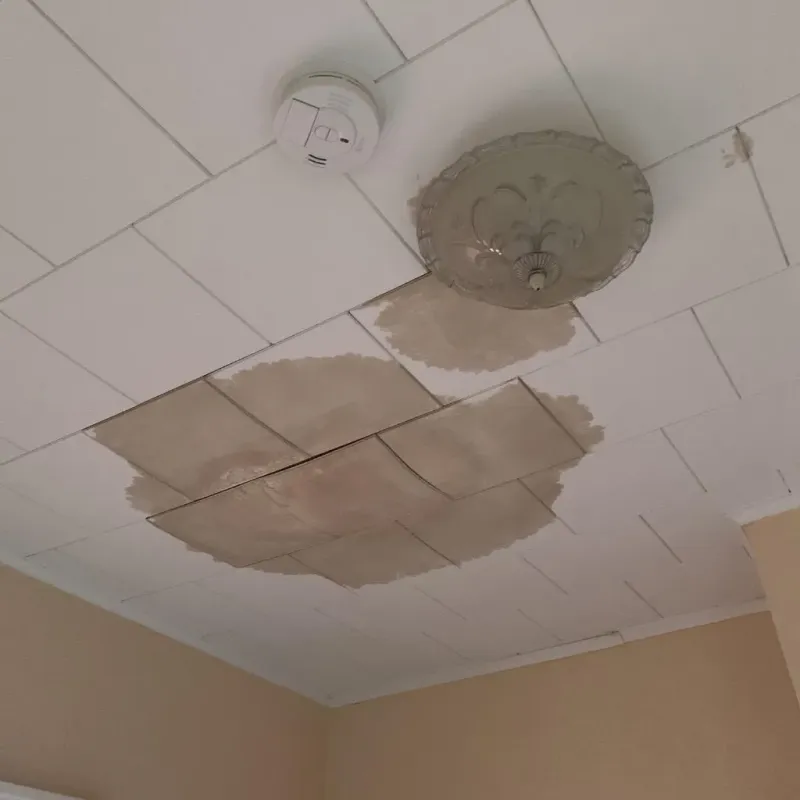 Ceiling Water Damage Repair in Utica, NY