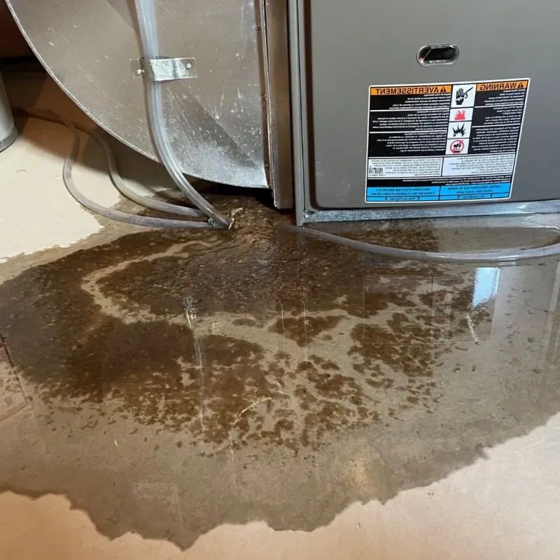 Pipe Burst and Leak Restoration in Utica, NY